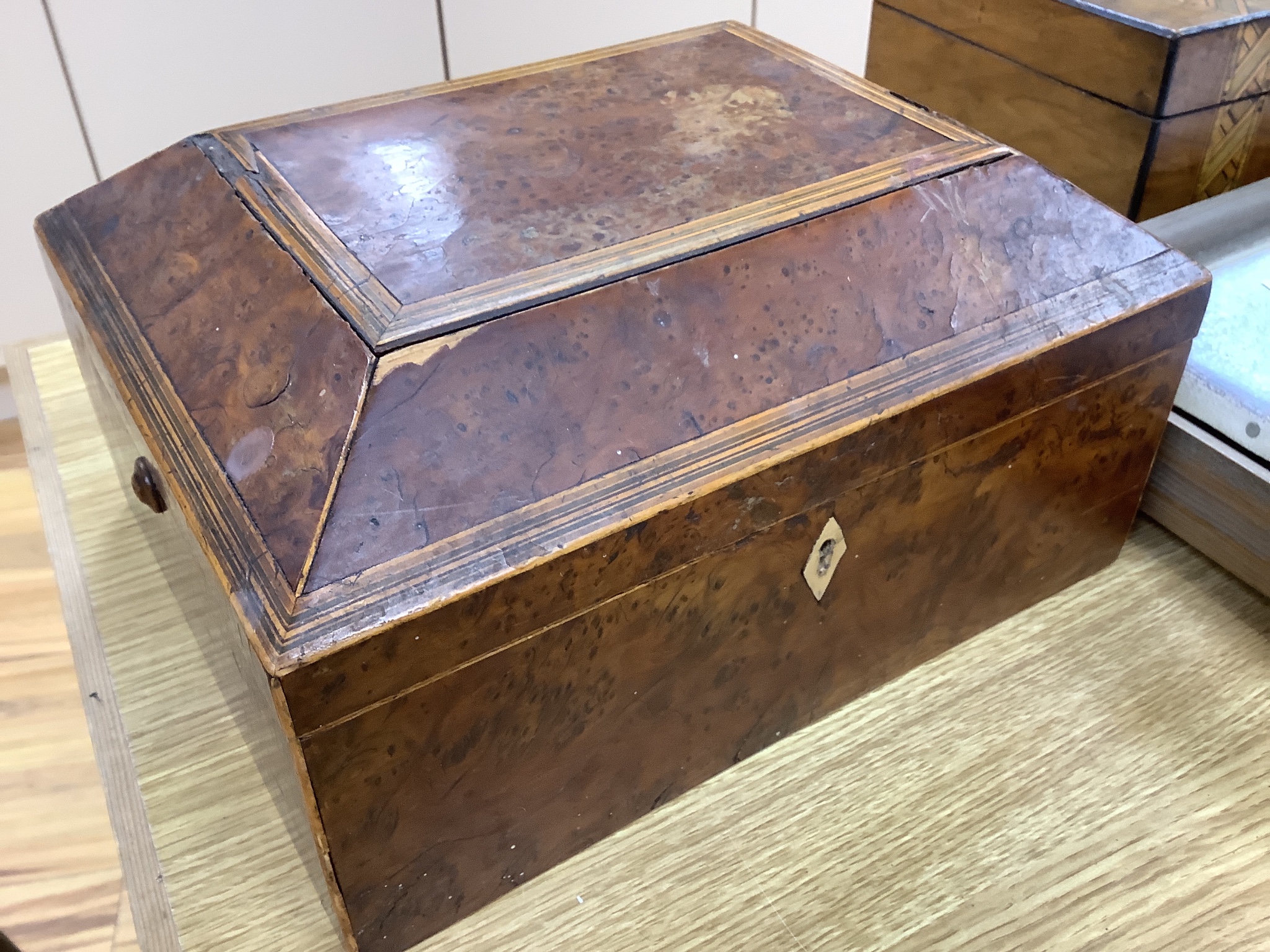 A Regency bird's eye maple work box, 13 cm high, 25 x 20cm and a parquetry box (2)